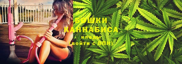 гидра Ладушкин