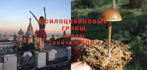 гидра Ладушкин