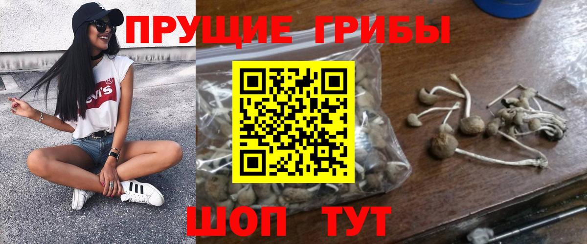 Псилоцибиновые грибы Magic Shrooms  Вход с VPN  где купить   Псилоцибиновые грибы Magic Shrooms  Соликамск 