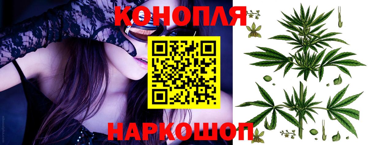 Бошки Шишки план Соликамск